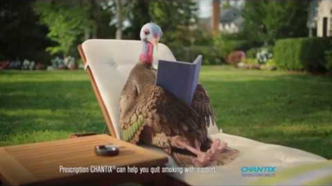 Chantix - Slow Turkey (2019, USA)