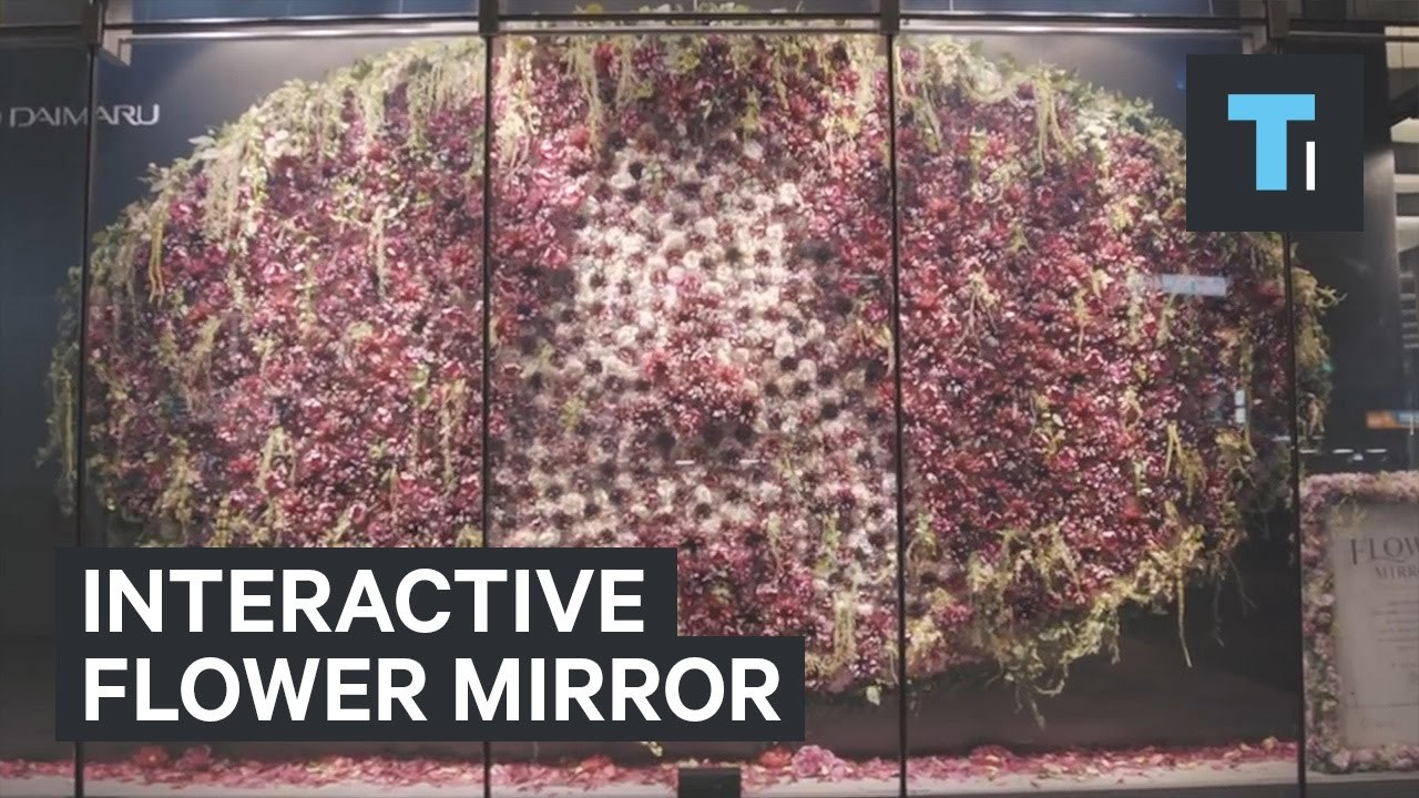 Interactive Mirror Made Of 3,000 Flowers Responds To Your Movement