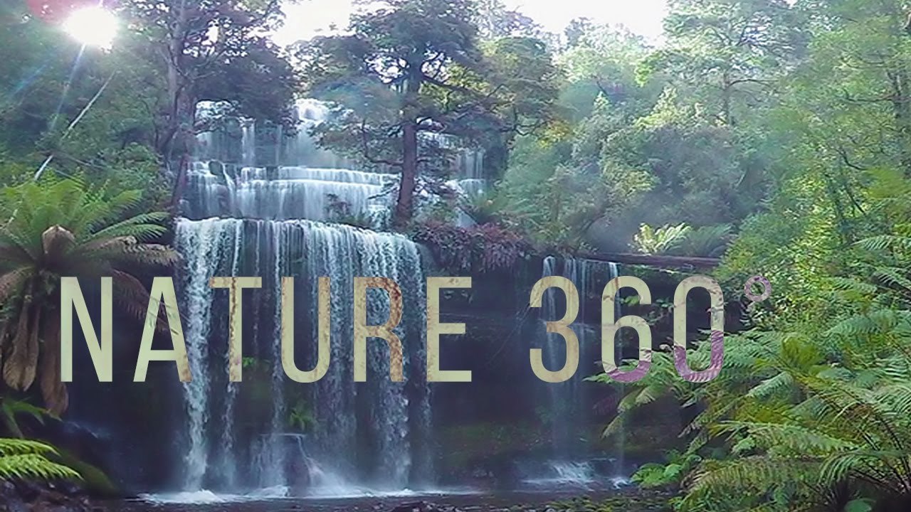 Virtual Nature 360° - 5.7K Nature Meditation for Oculus Quest
