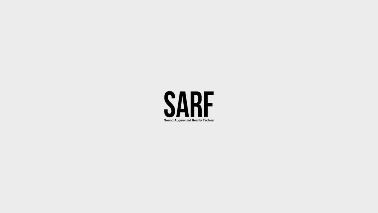 SARF / 君の日常を 