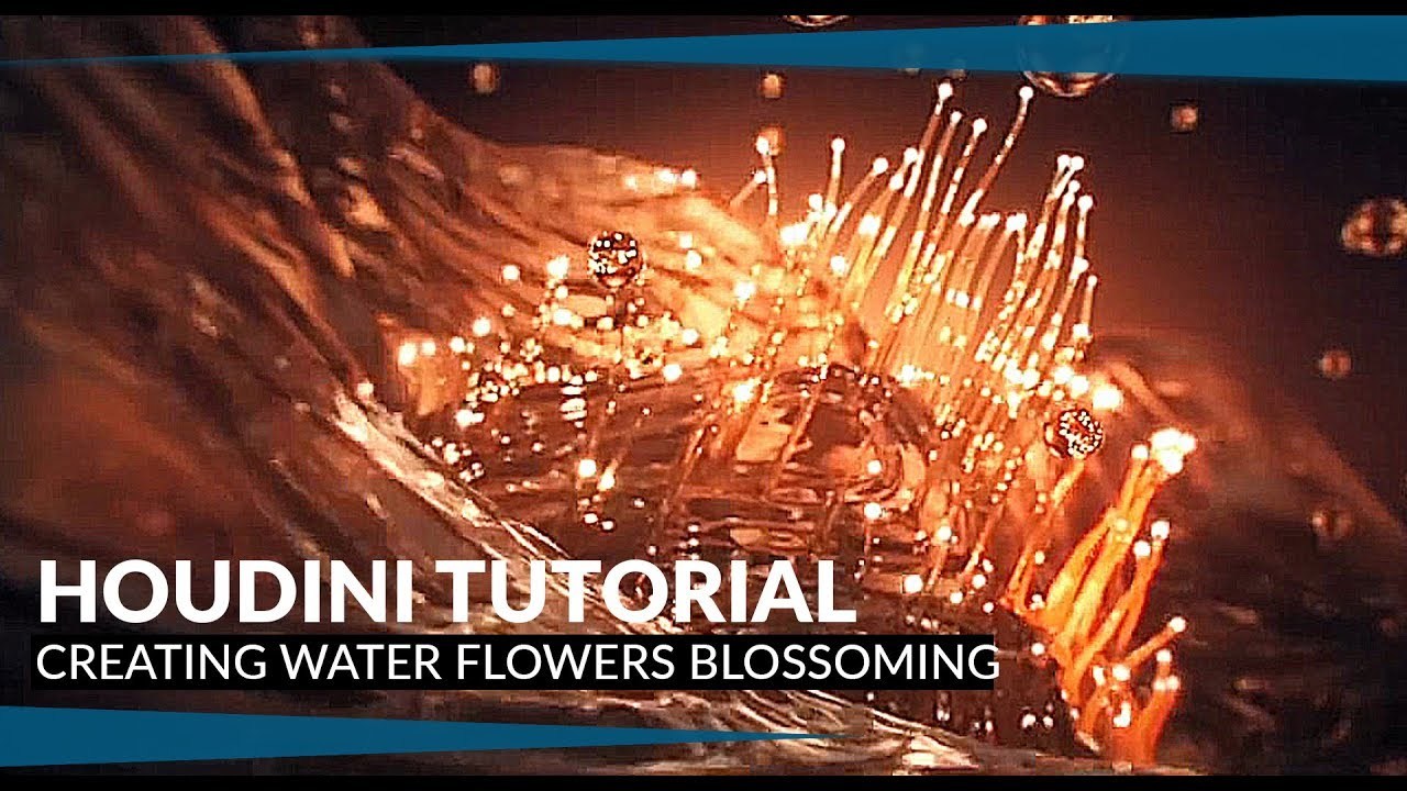 Houdini Tutorial: Creating Water flowers blossoming | Project File for download