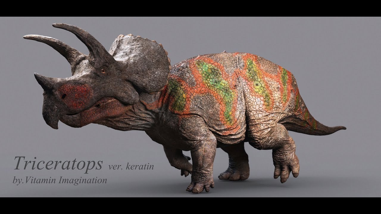 Triceratops ver. 2017  by. Vitamin Imagination