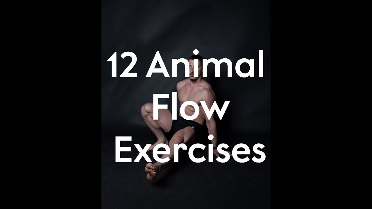 Animal Flow Exercises | Strong Romanian Athletes