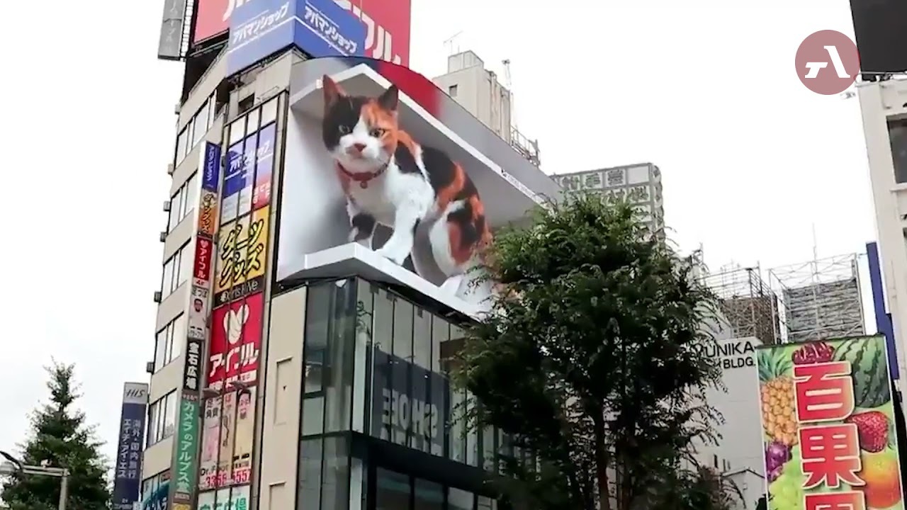 В Токио на торговом центре установили билборд с 3D-котом