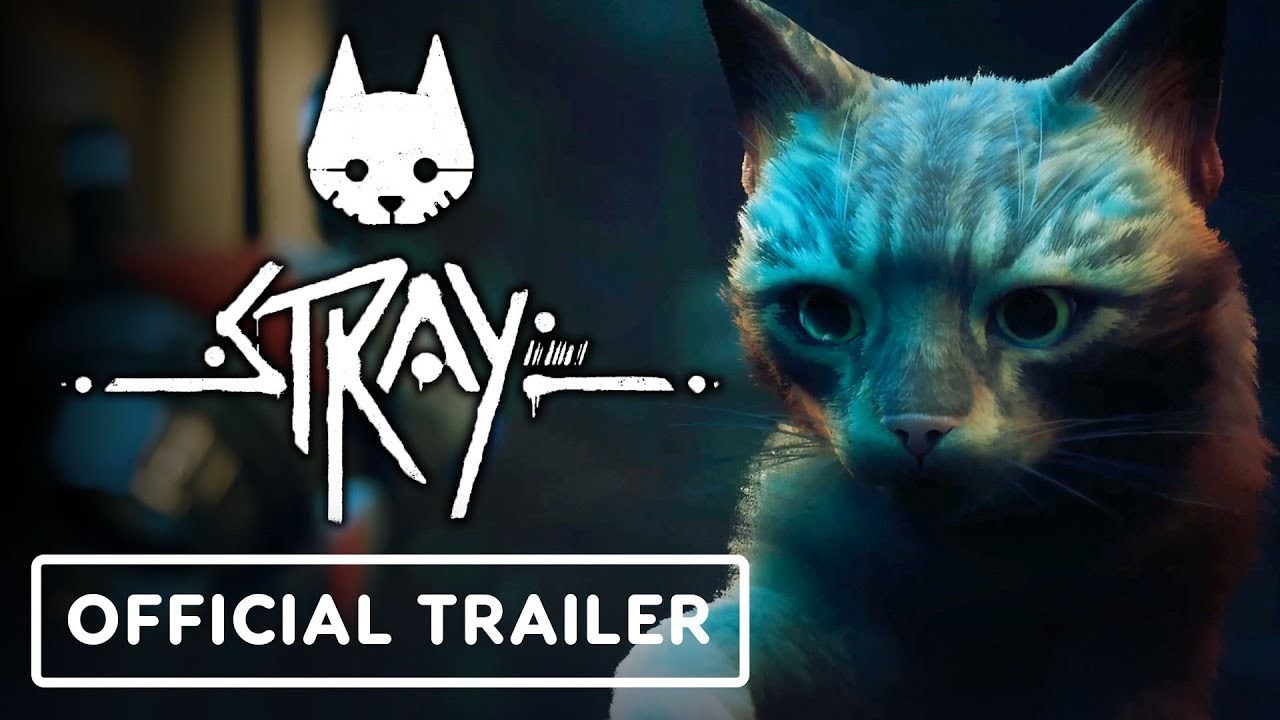 Stray - Official Gameplay & Release Window Trailer
