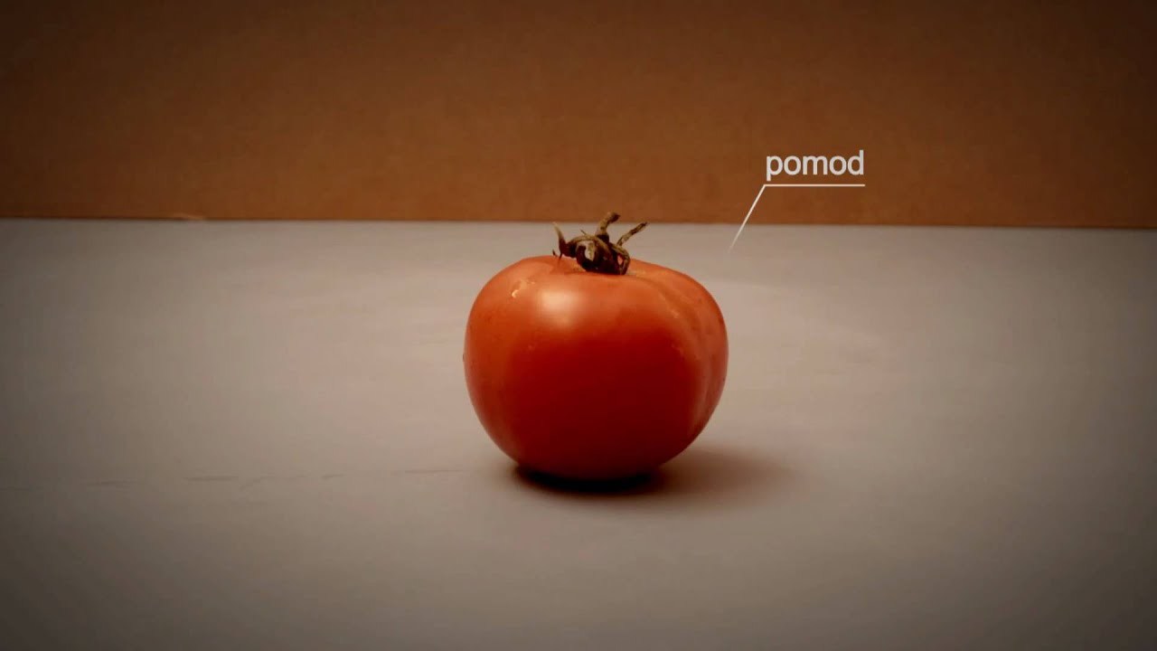 stop motion pizza
