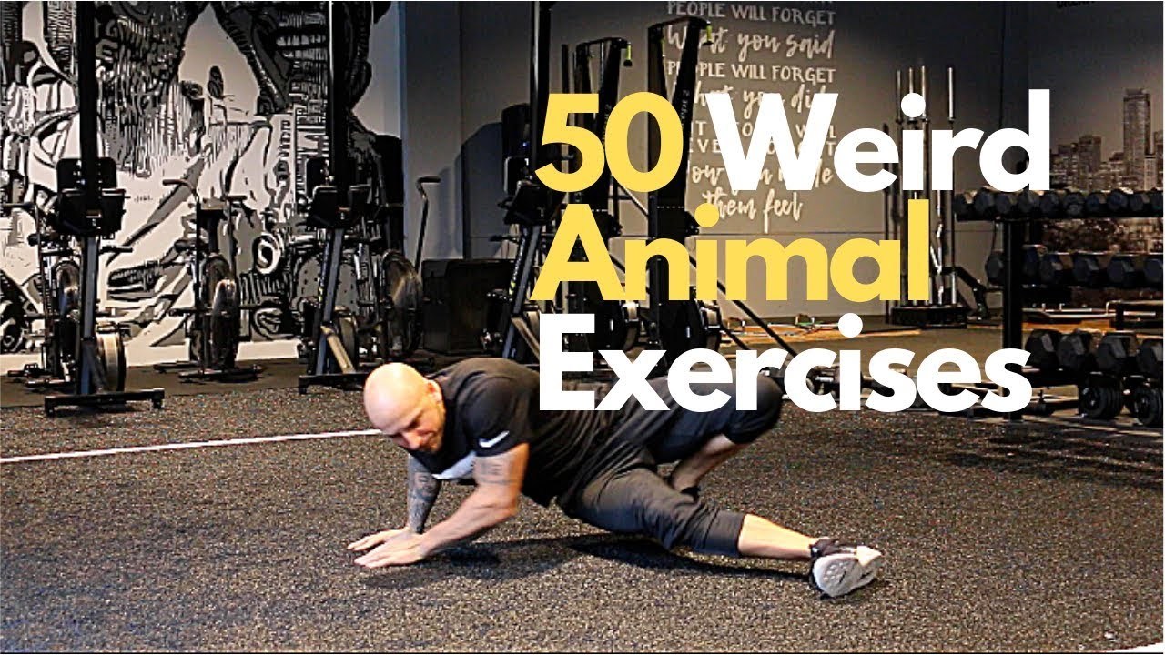 50 Weird Animal Exercises