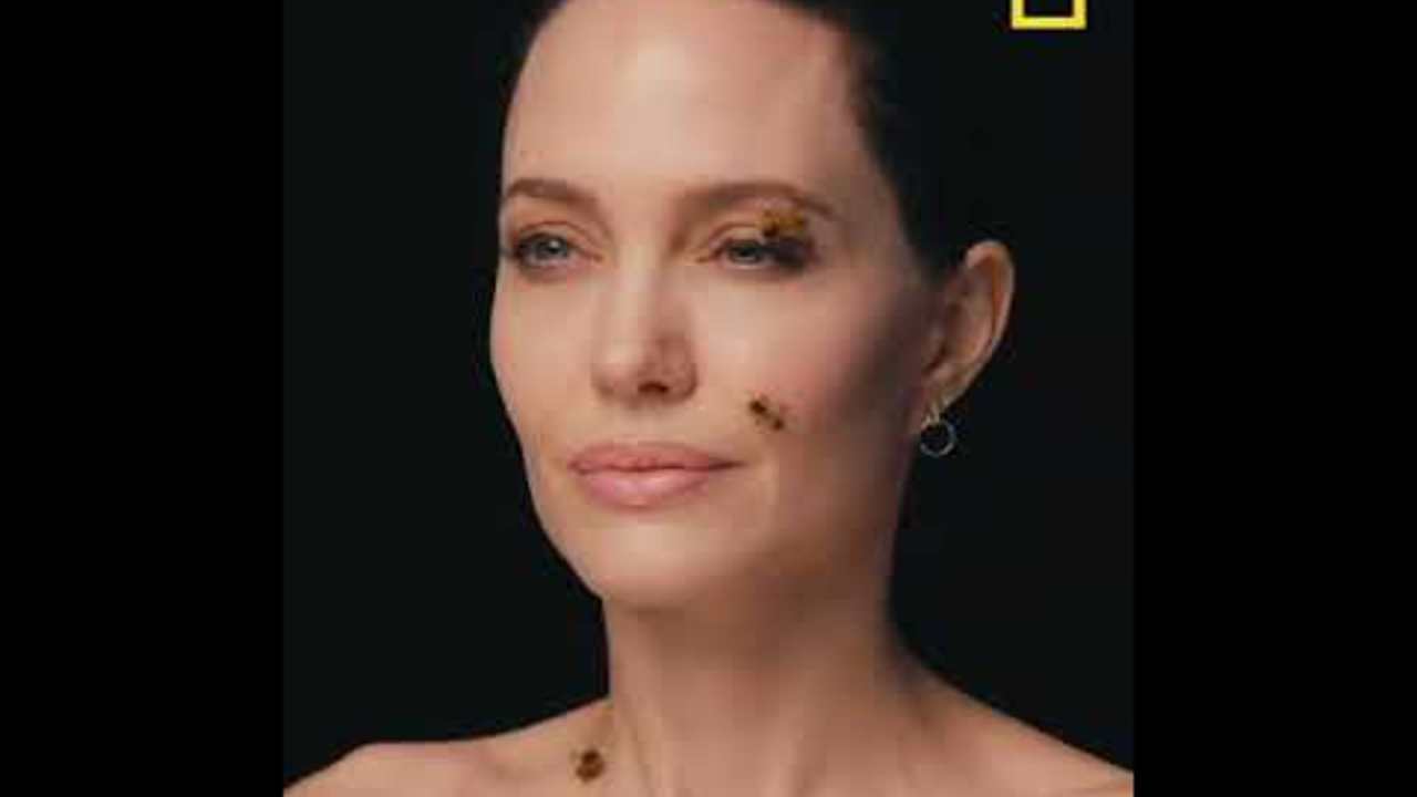 Angelina Jolie - Women for Bees