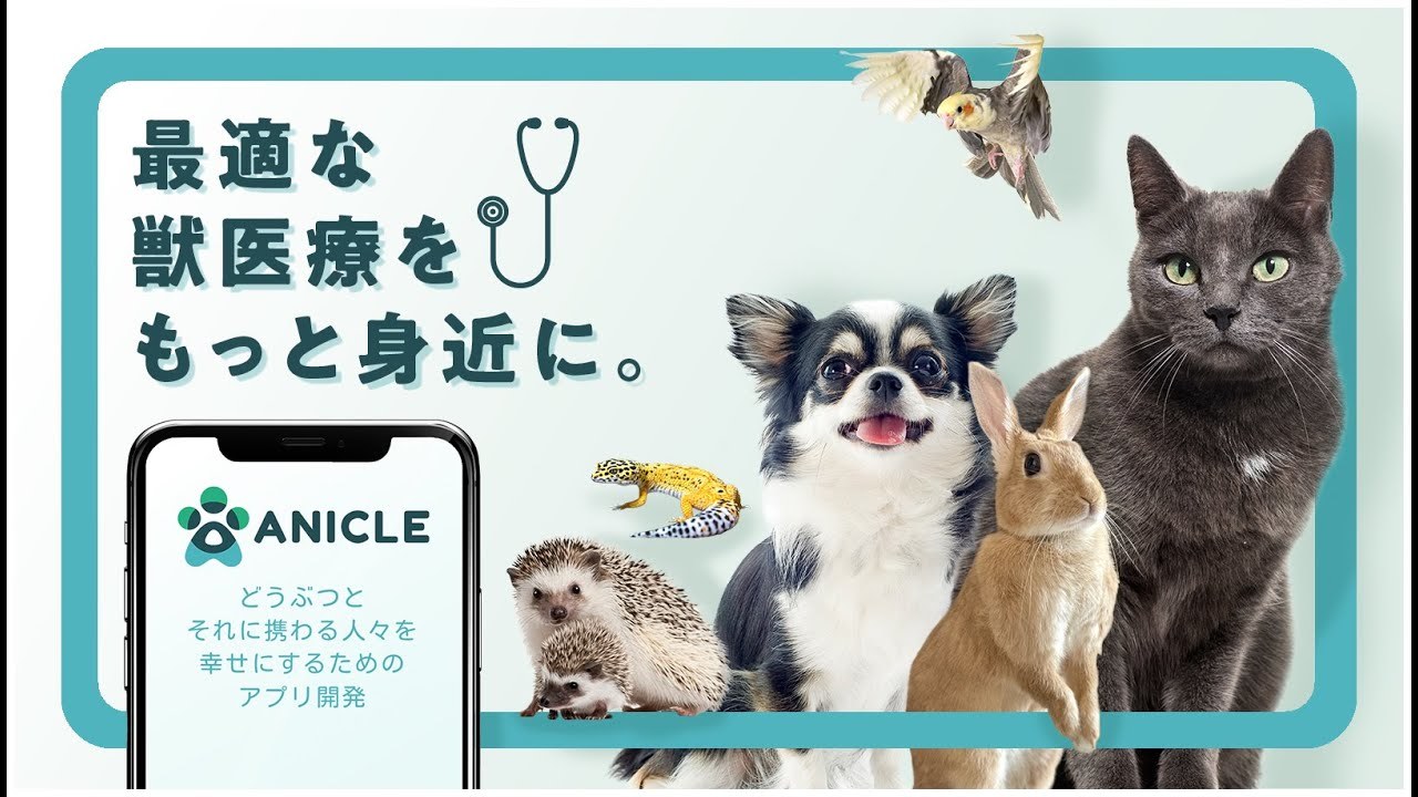 プロジェクト紹介動画｜ANICLE ースマホに獣医を搭載！ペットの命を守るための獣医療アプリの開発ー