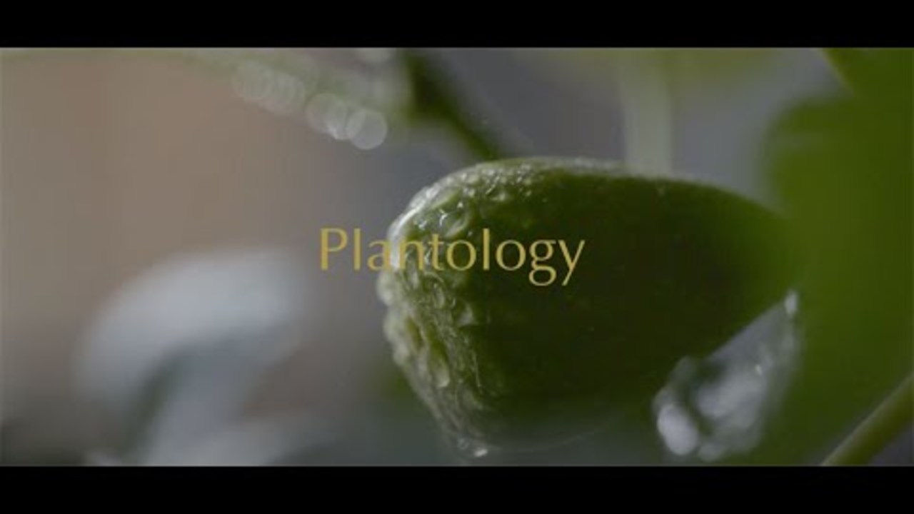 Plantology Brand Film