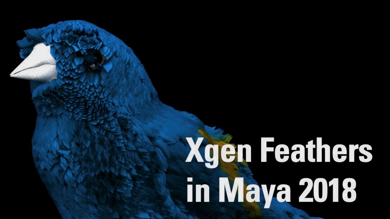Putting feathers on a Bird in Maya 2018 using Xgen
