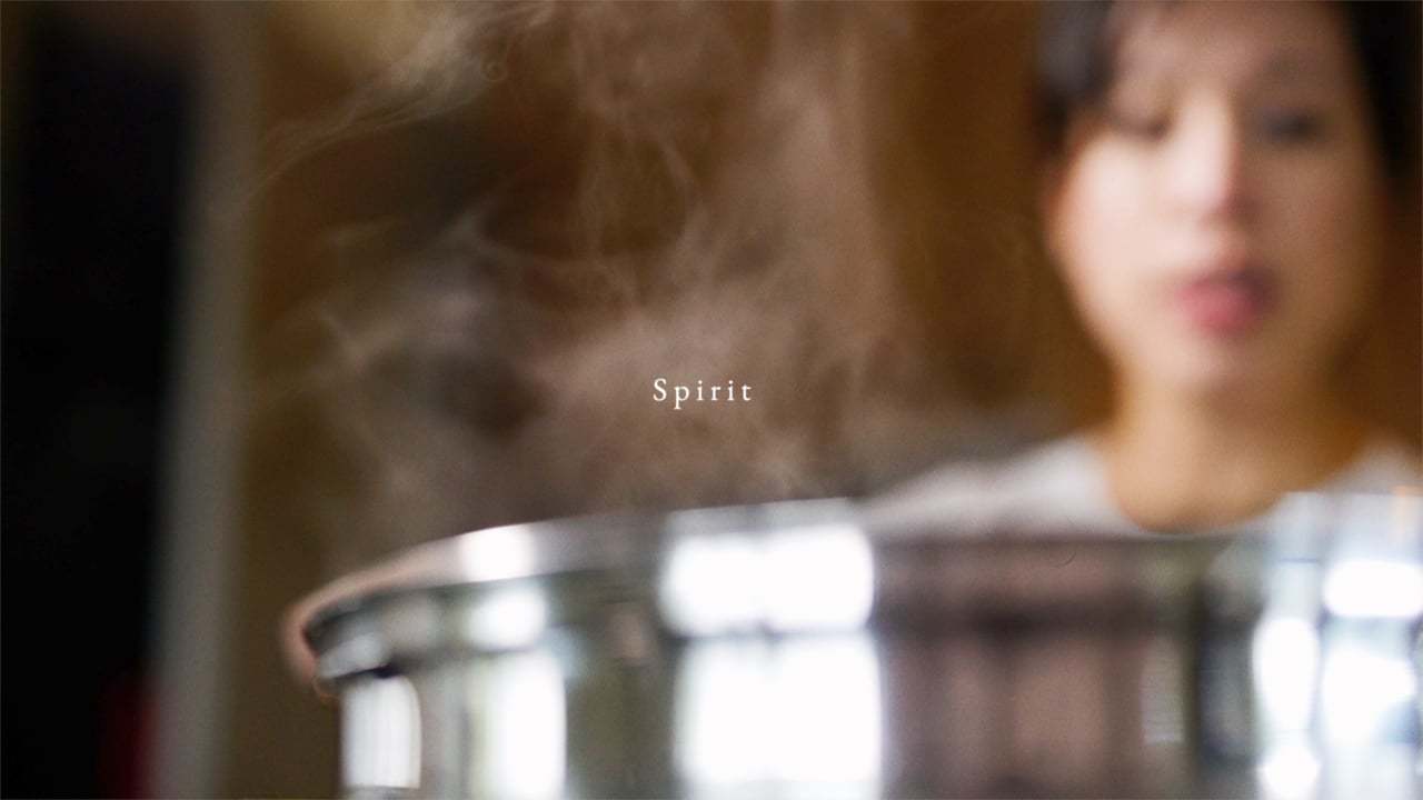 SPIRIT featuring Christine Ha