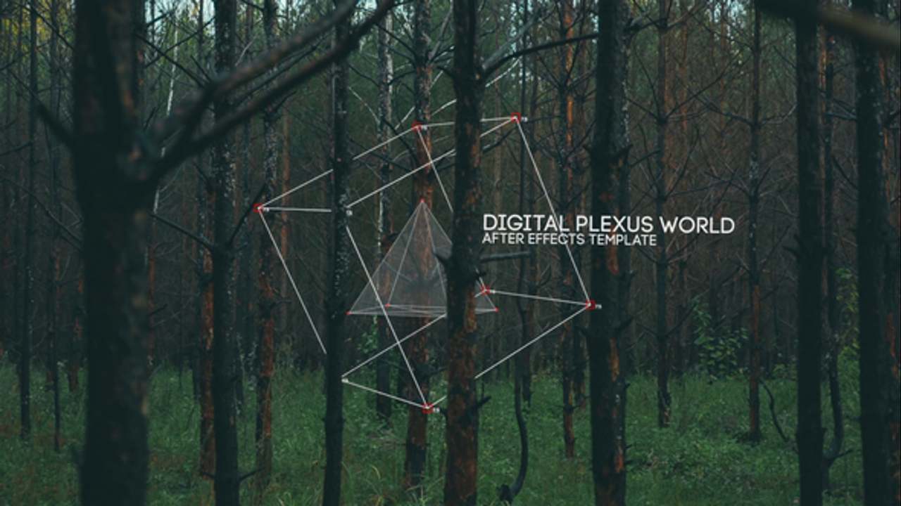 Digital Plexus World
