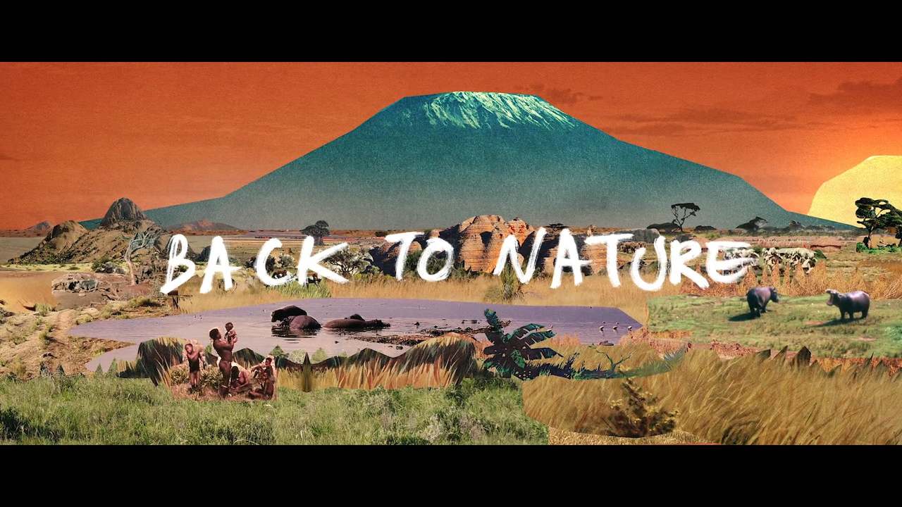 Nightmares On Wax — Back To Nature