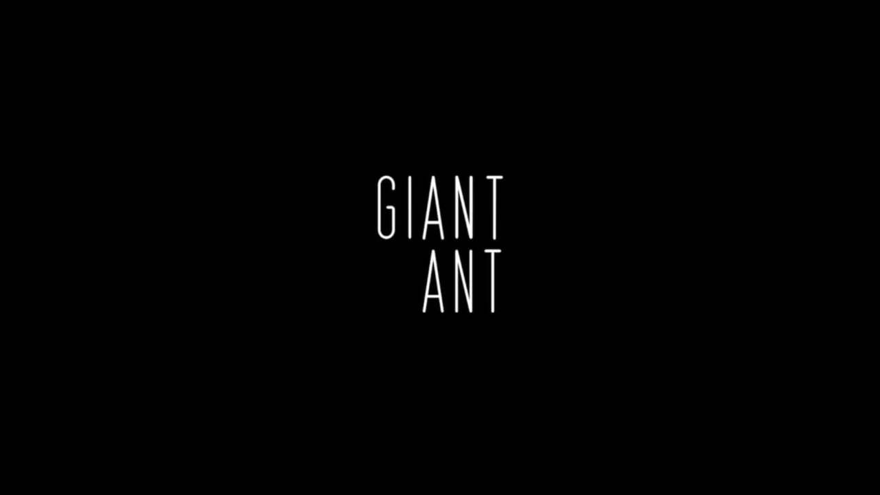 Giant Ant // Autumn '17 Reel