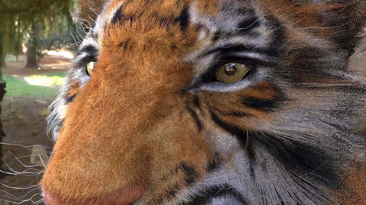 Tiger - Breakdown