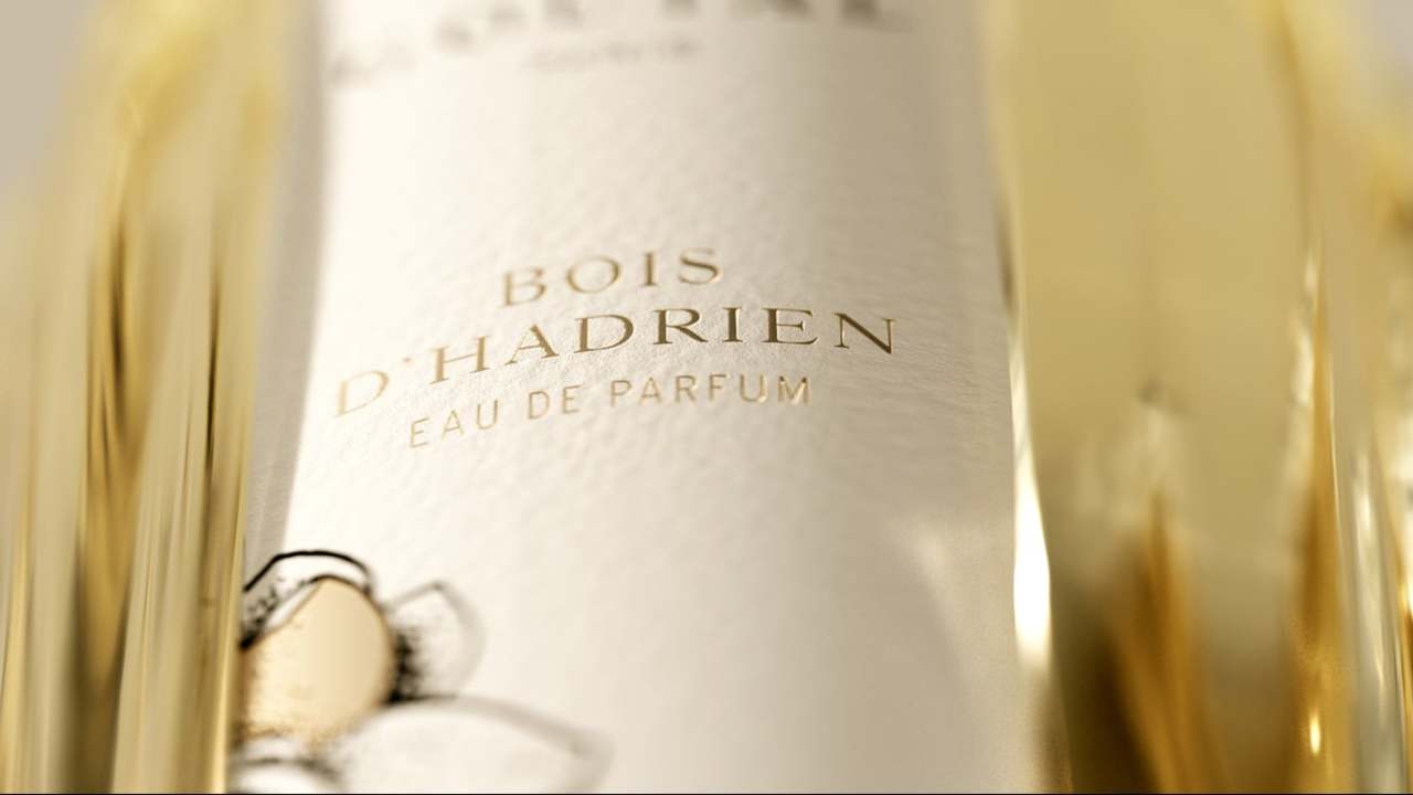 Tuscan Sensory Memories - Bois d'Hadrien