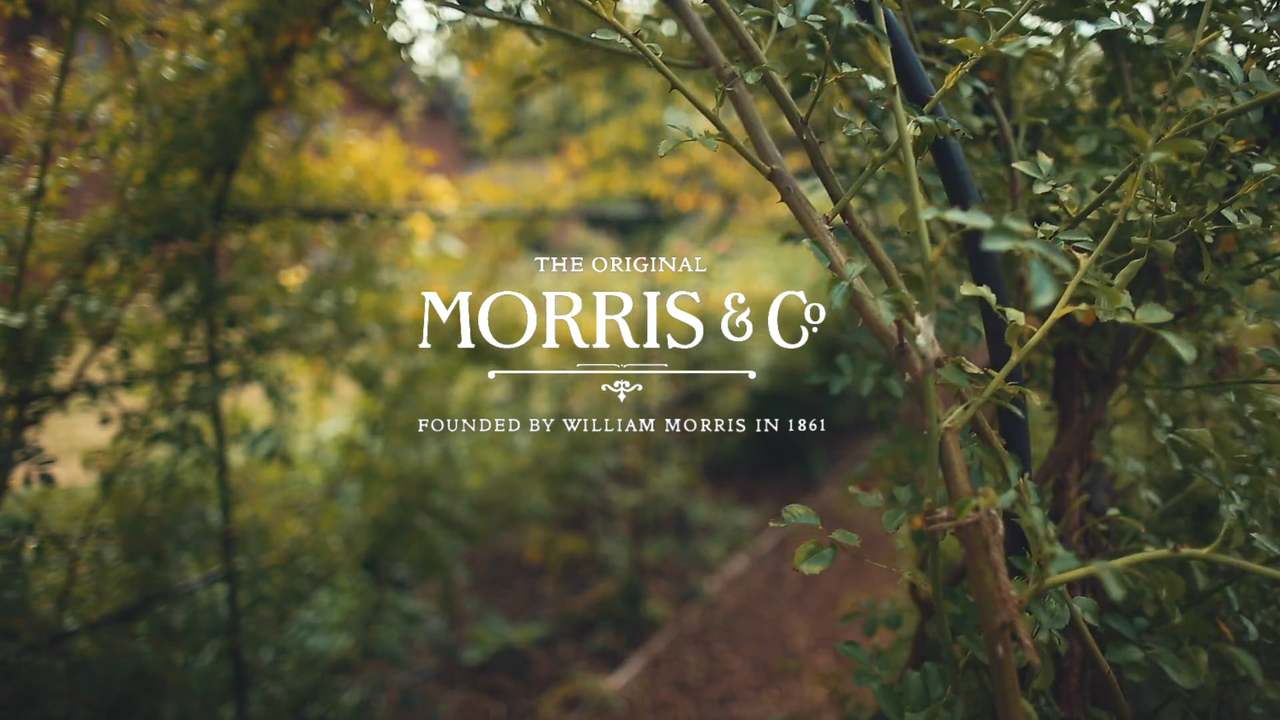 Morris & Co. Brand Film