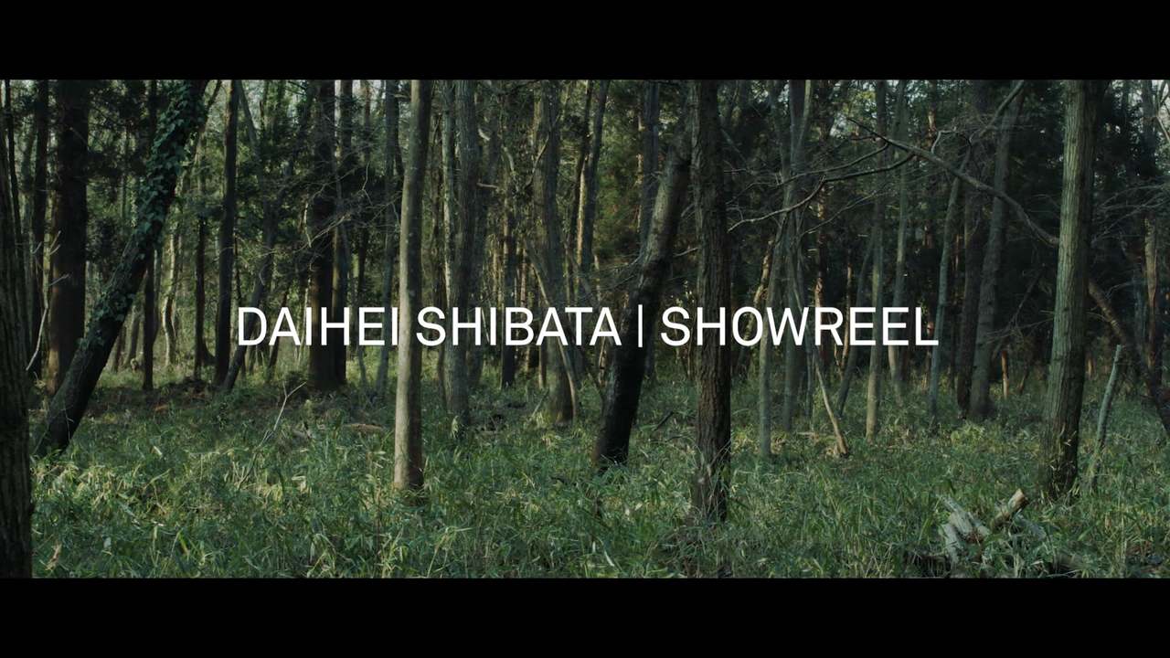 Daihei Shibata REEL 2018