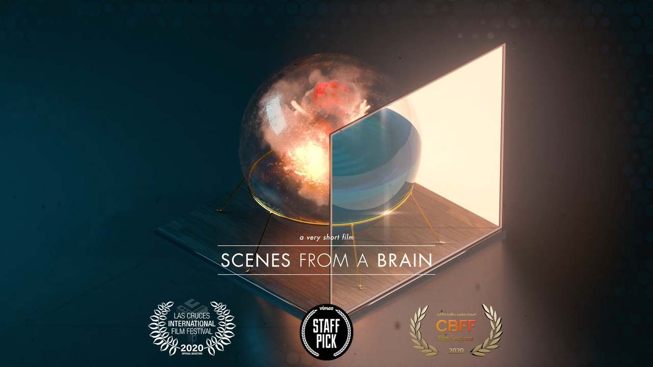 Scenes from a Brain