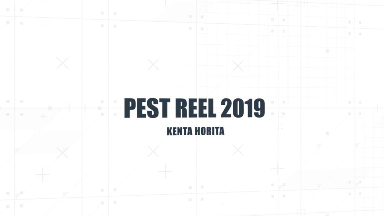 PEST REEL 2019