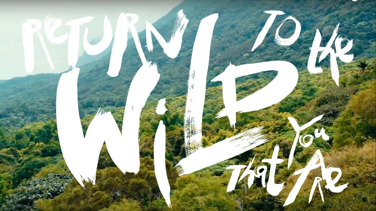 Return to the Wild that You Are ｜台東 ｜Taitung