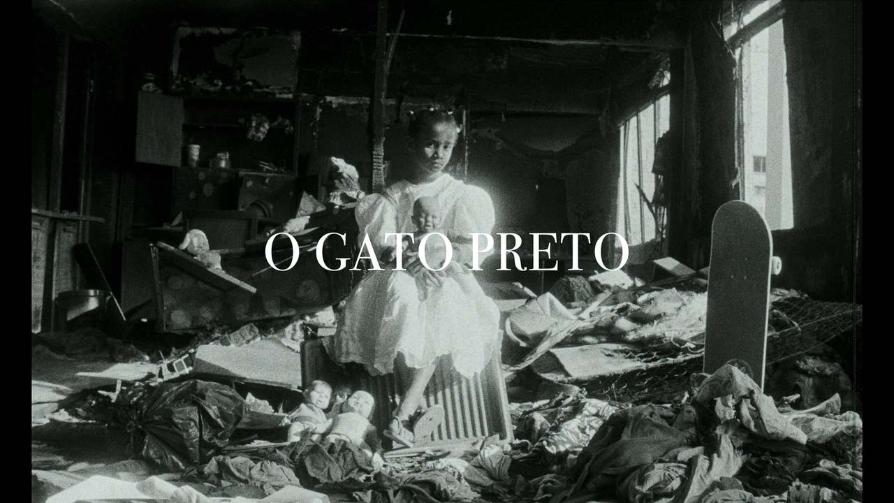 GATO PRETO | THE BLACK CAT | Short Film