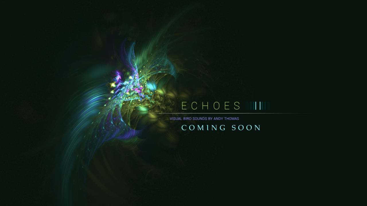 Echoes 2 Teaser