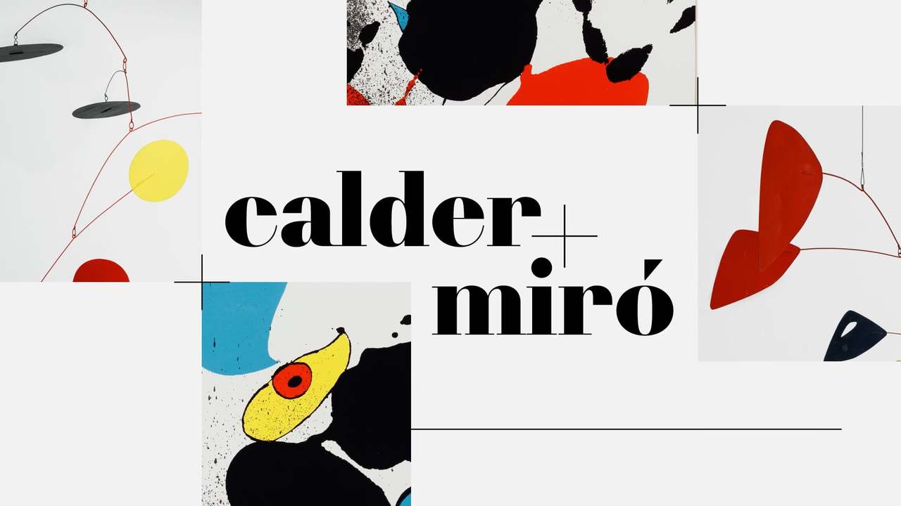 CASA ROBERTO MARINHO - Calder + Miró