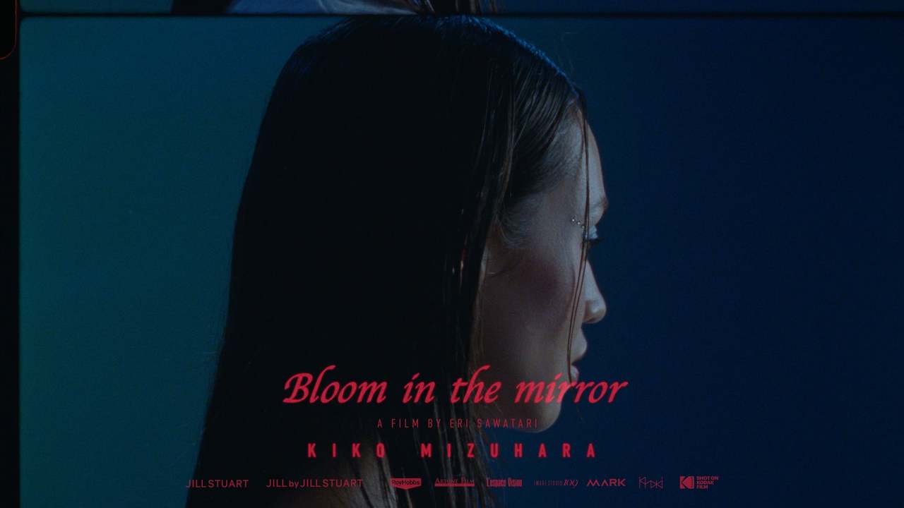 Bloom in the mirror